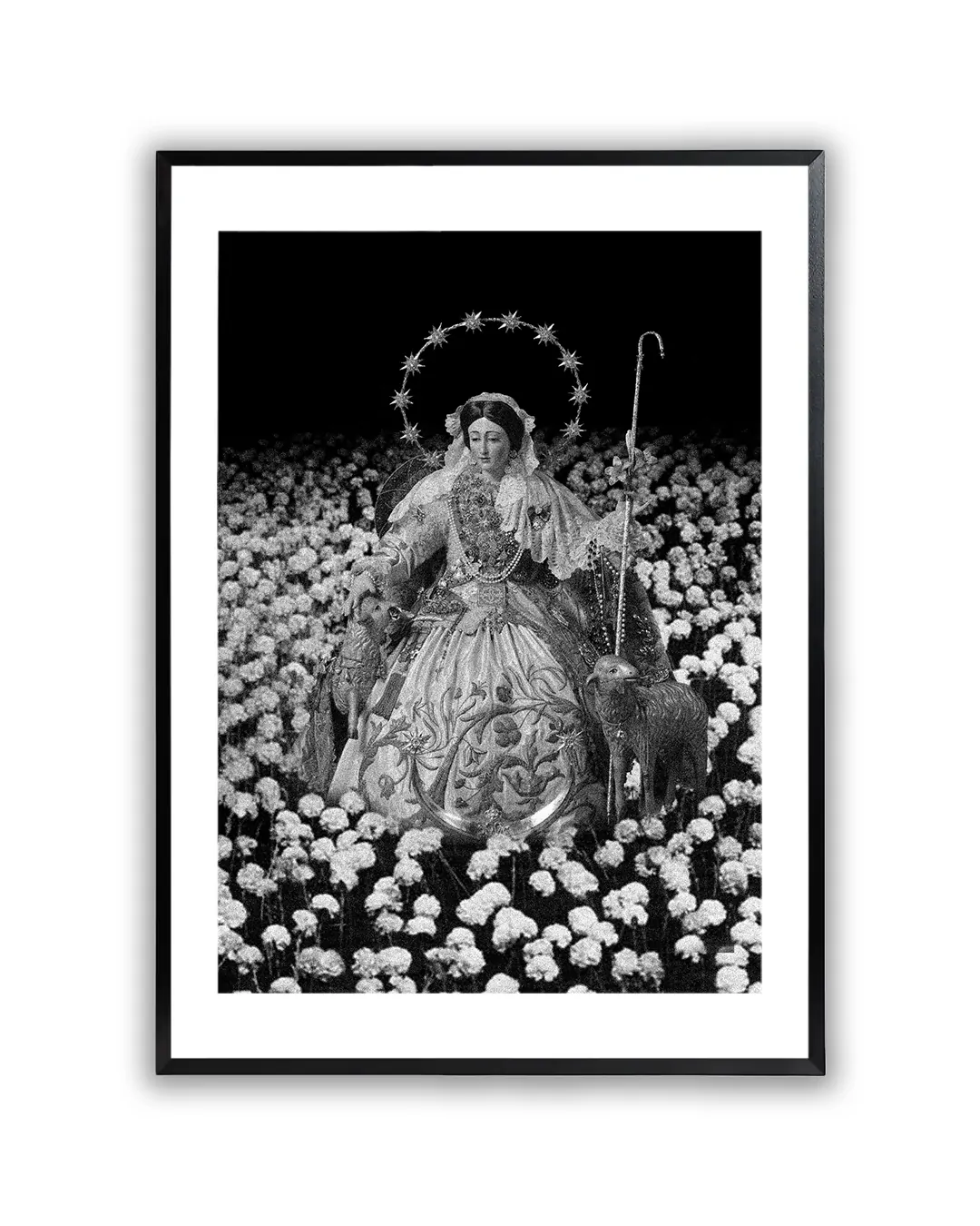 Madre Universal